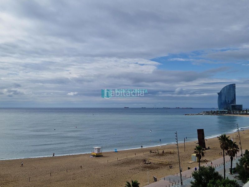 Foto a7294c0a-96f9-4e2f-8066-7a7d69e4fd14. Pis amb terrassa a Barceloneta Barcelona