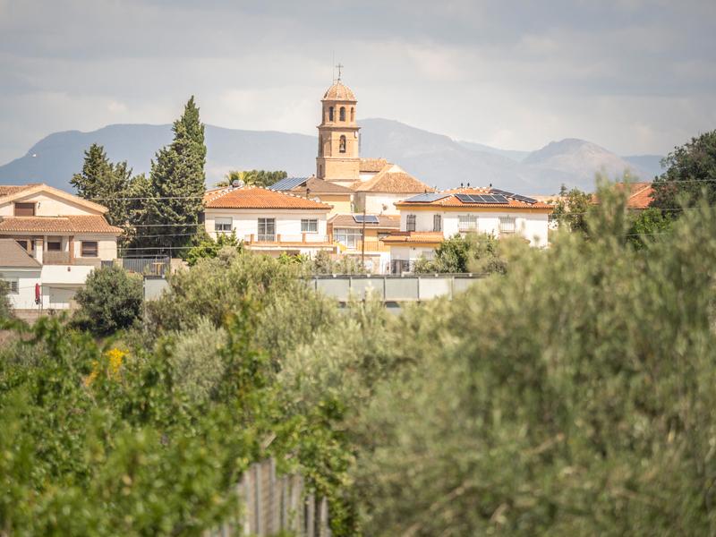 Foto 76e00615-3b4a-4d70-9584-ad6706910fed. Rural plot in calle gregorio marañón 1a in Carretera de Granada-La Alcazaba Alhendín
