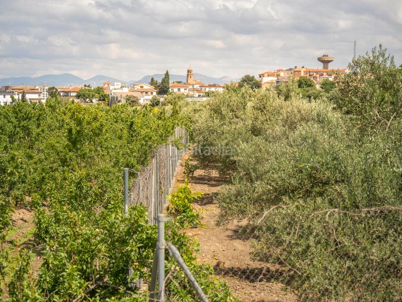 Foto a2452841-b1d2-401b-a7c0-c4643526ba20. Rural plot in calle gregorio marañón 1a in Carretera de Granada-La Alcazaba Alhendín