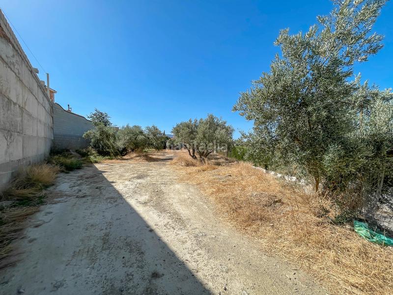 Foto 9e69c8f5-1b3d-4ca6-adde-99a84d5c59d5. Terreno residencial en calle juan ramon jimenez 43 venta de terreno en Alhendín