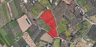 Finca rústica a N/a. Venta de terreno en la vega de otura 9531m2