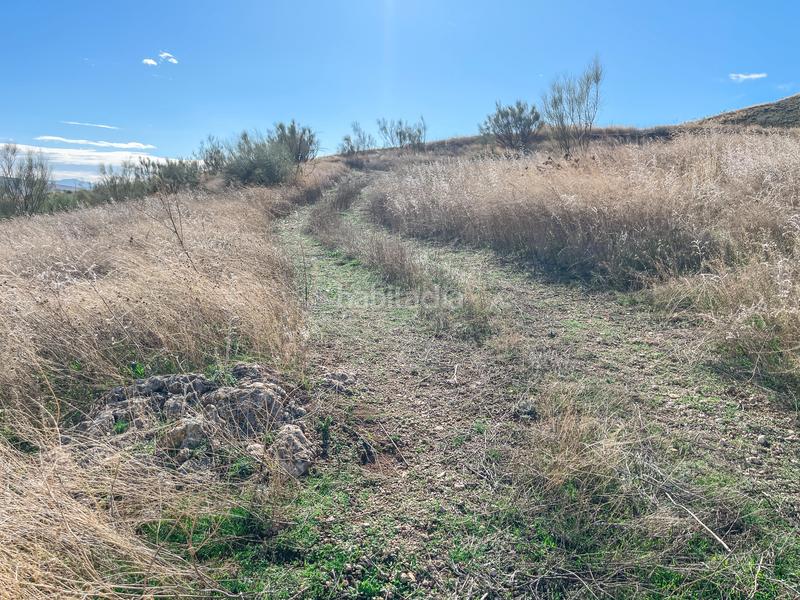 Foto 06fff7d6-3b20-46b4-8d13-4e12f567c5dc. Propriété dans n/a dans Alhama de Granada