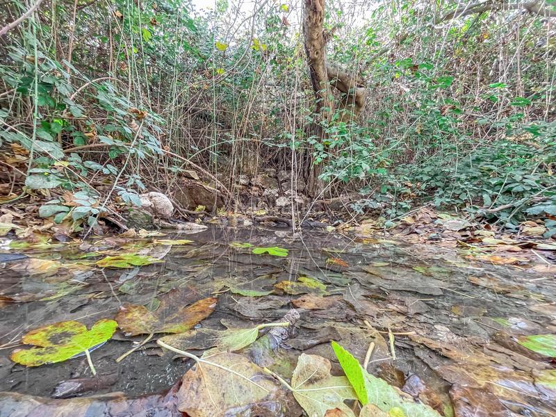 Foto 09b5866d-6869-4c3c-9bbc-b13d6274f866. Propriété dans n/a dans Alhama de Granada