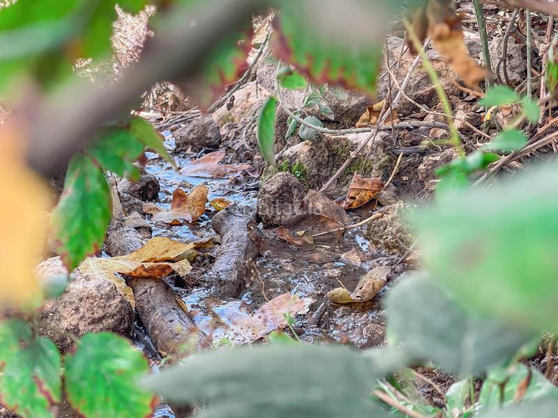 Foto 1864814c-af39-47ba-8264-26c89a57a12a. Propriété dans n/a dans Alhama de Granada