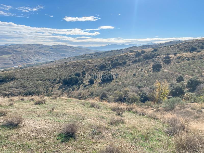 Foto 1eaa66e7-3731-408e-b7ae-2836dbb9a453. Propriété dans n/a dans Alhama de Granada