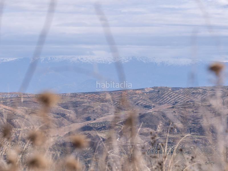 Foto 340a5653-019f-49c6-8481-586ee788a31e. Propriété dans n/a dans Alhama de Granada