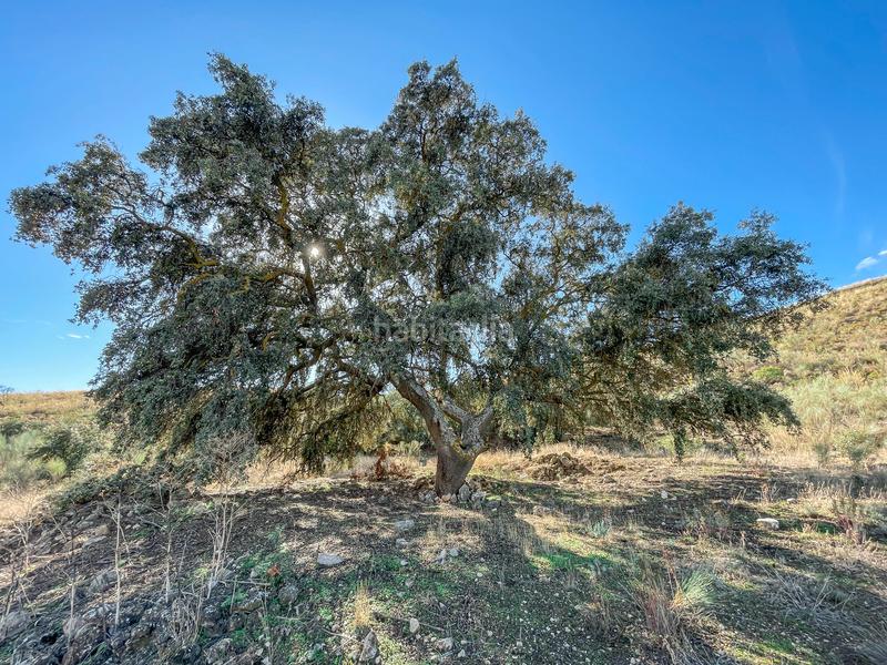 Foto 35de6192-dad5-4c10-a480-eec3b620e0c9. Propriété dans n/a dans Alhama de Granada