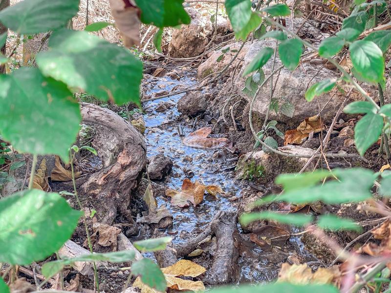 Foto a86ef7d0-40b2-44dd-9ae3-f250a5eb3f24. Propriété dans n/a dans Alhama de Granada