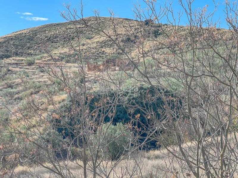 Foto b193d64d-70c7-4e07-90be-5bb3e9684097. Propriété dans n/a dans Alhama de Granada