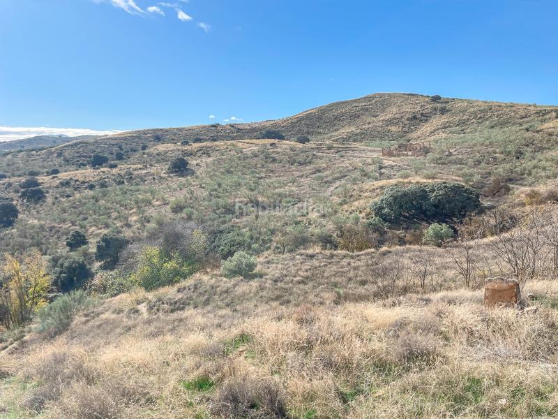 Foto b95e79e3-e914-4753-937b-9bd24f7634eb. Propriété dans n/a dans Alhama de Granada