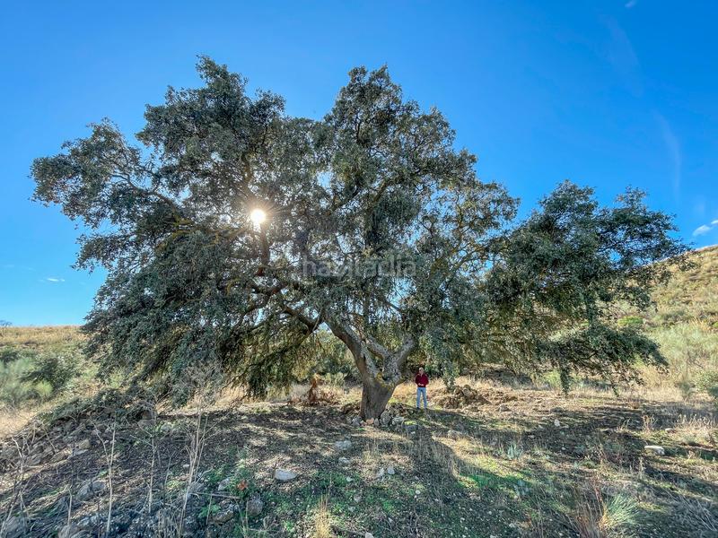 Foto bb60bb5a-46e9-4c5a-b637-b0b6041a9978. Propriété dans n/a dans Alhama de Granada