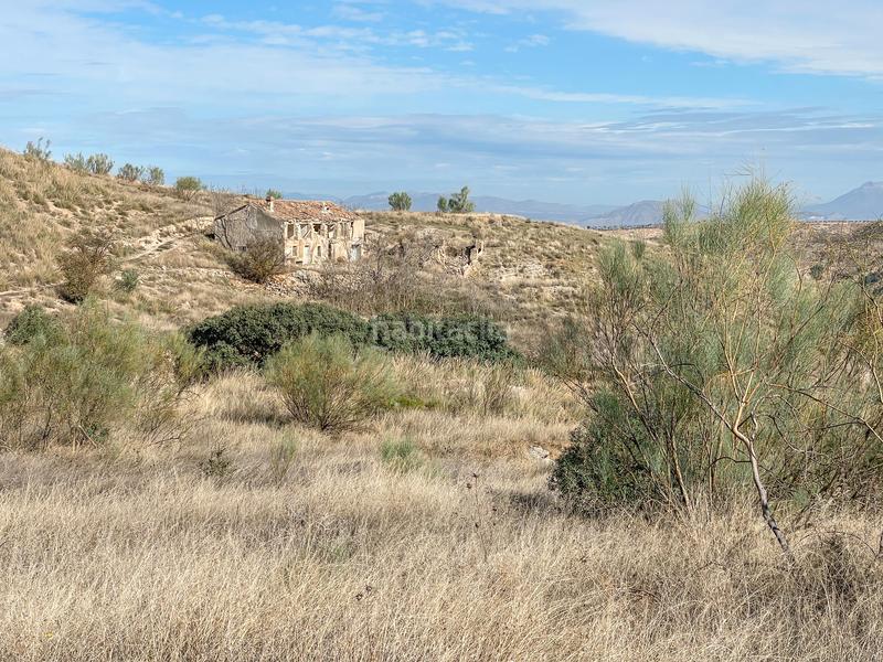 Foto c4984d4d-caeb-4cbf-9cbd-84a86061fec0. Propriété dans n/a dans Alhama de Granada
