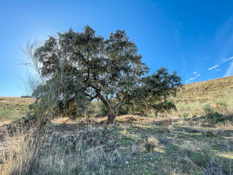 Foto cbe008cc-39fd-46c7-bfc3-71c7b10f7698. Propriété dans n/a dans Alhama de Granada