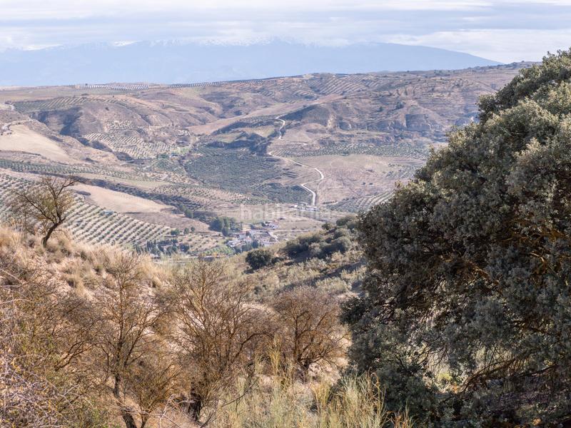 Foto f2aa1a71-7c0a-4b61-bf50-1c4c1d5d8d91. Propriété dans n/a dans Alhama de Granada
