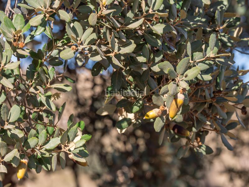 Foto f9f392c5-a14d-4425-a4f4-7cc6299d139f. Propriété dans n/a dans Alhama de Granada