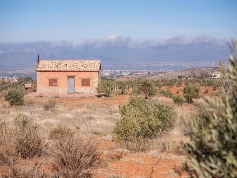 Foto 03277c43-6227-4f03-a3e1-cedb1fdd8944. Finca rústica en avenida emilio muñoz 56 venta de cortijo en dilar en Dílar