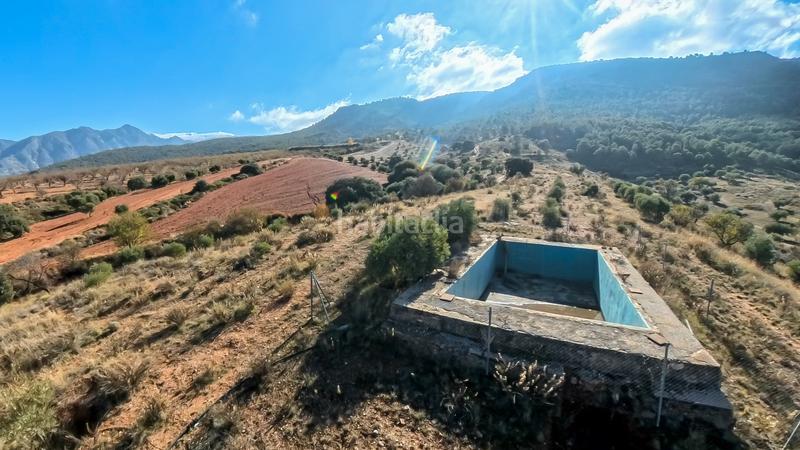 Foto 0470479e-876f-4e76-85a4-f52886d2a37e. Finca rústica en avenida emilio muñoz 56 venta de cortijo en dilar en Dílar