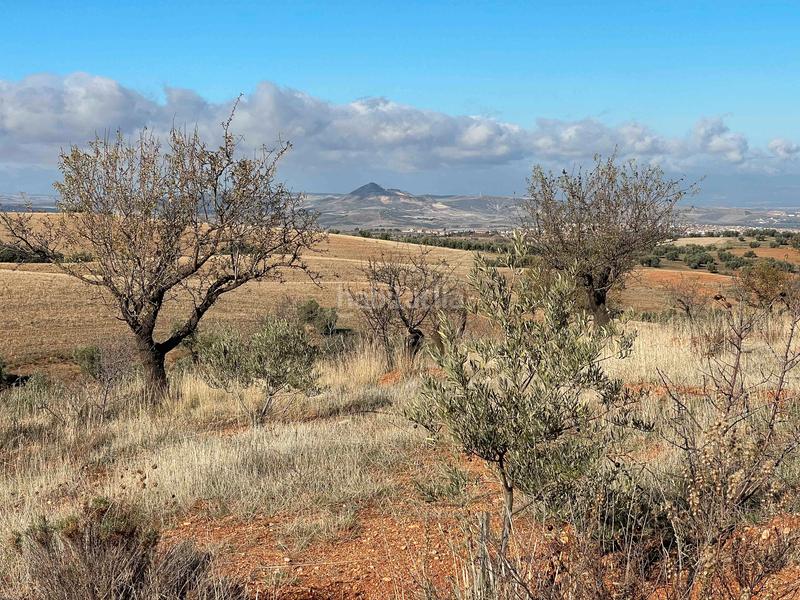 Foto 08c5bb7d-d629-4b7e-ad20-4abdd78c7cce. Finca rústica en avenida emilio muñoz 56 venta de cortijo en dilar en Dílar