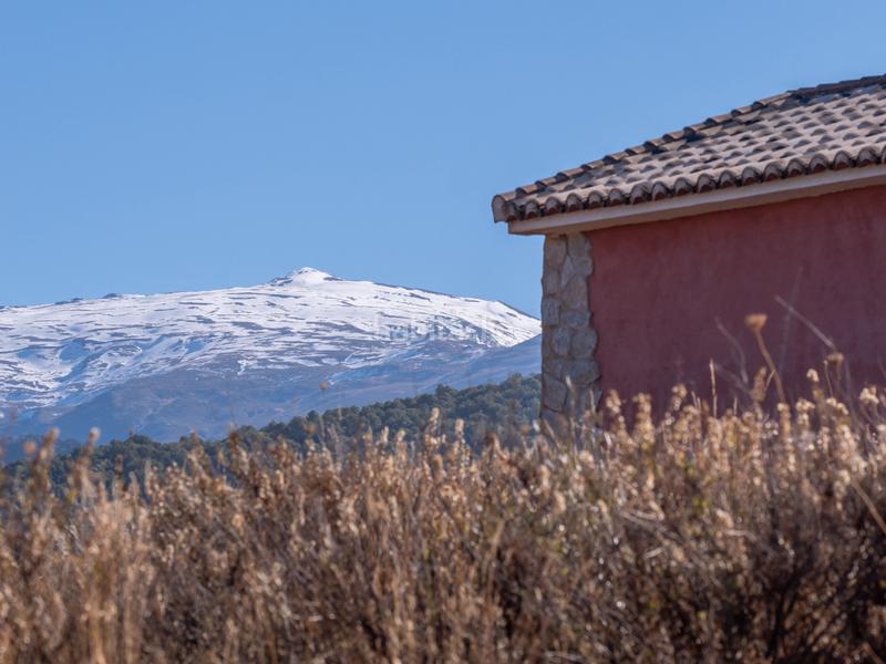 Foto 0ae4e882-b113-43c0-ba4c-8cbce6e44379. Finca rústica en avenida emilio muñoz 56 venta de cortijo en dilar en Dílar