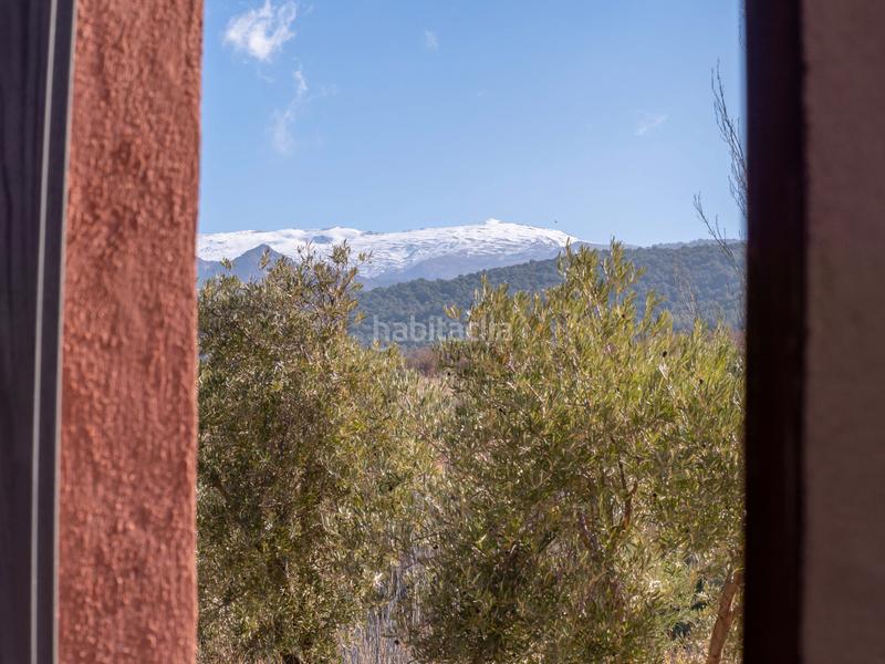 Foto 151a8652-fbb5-412a-928d-074e70be42a9. Finca rústica en avenida emilio muñoz 56 venta de cortijo en dilar en Dílar