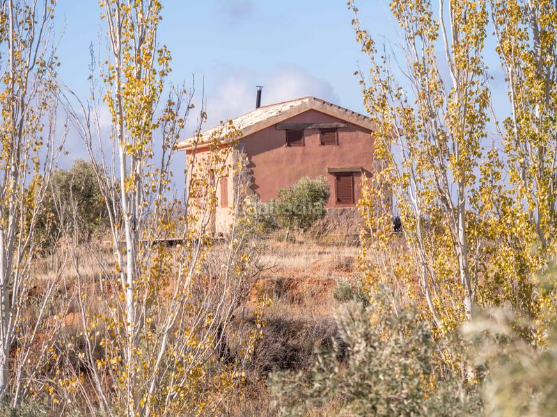 Foto 1b6313c7-943a-4706-9da4-f69e26eb9839. Finca rústica en avenida emilio muñoz 56 venta de cortijo en dilar en Dílar