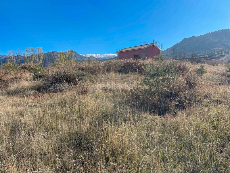 Foto 1d6599cd-26e0-4e70-bb62-bfe50ba64b5e. Finca rústica en avenida emilio muñoz 56 venta de cortijo en dilar en Dílar