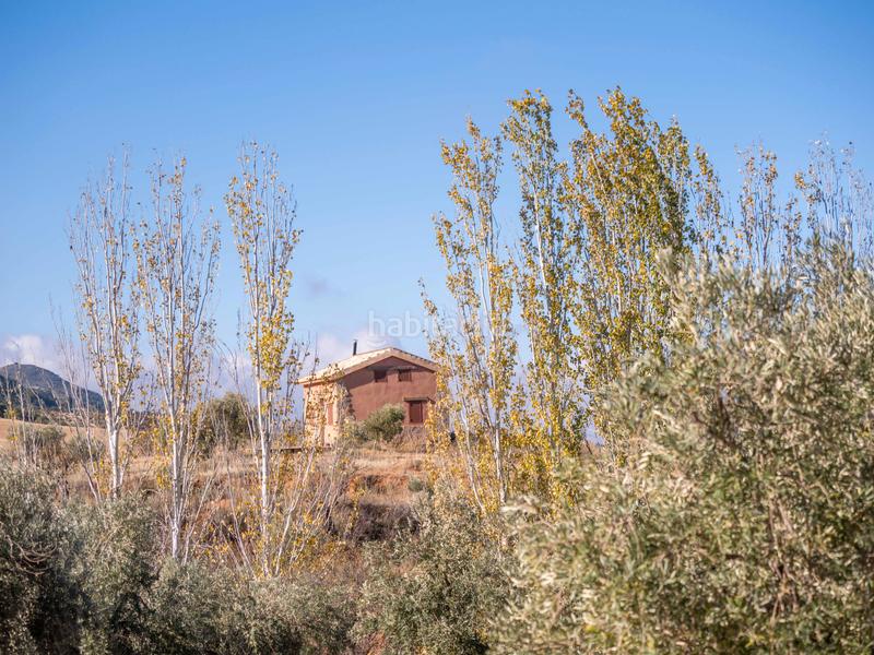Foto 224b9432-fd73-46a7-a4ec-1e2624da4992. Finca rústica en avenida emilio muñoz 56 venta de cortijo en dilar en Dílar
