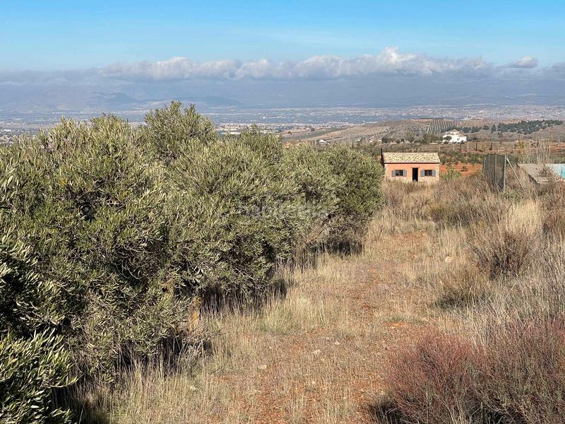 Foto 2eaf433e-5b8b-429f-9aa0-ab053d167978. Finca rústica en avenida emilio muñoz 56 venta de cortijo en dilar en Dílar
