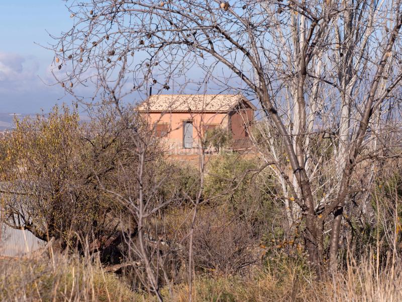 Foto 3fd6a6b1-b34e-4710-91ae-7430192bdf4c. Finca rústica en avenida emilio muñoz 56 venta de cortijo en dilar en Dílar