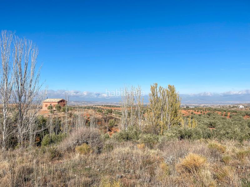 Foto 41a19f8d-f3dd-412e-b6c0-f742ccb3004a. Finca rústica en avenida emilio muñoz 56 venta de cortijo en dilar en Dílar