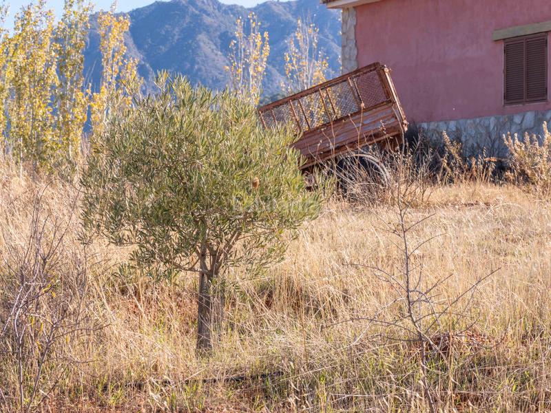Foto 567d61a8-fb99-4857-a7b8-c6d56573f670. Finca rústica en avenida emilio muñoz 56 venta de cortijo en dilar en Dílar