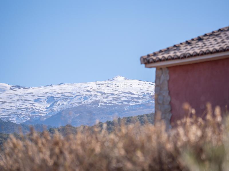 Foto 5ff9b81b-23ec-49d2-91d7-96a6b7a28a29. Finca rústica en avenida emilio muñoz 56 venta de cortijo en dilar en Dílar