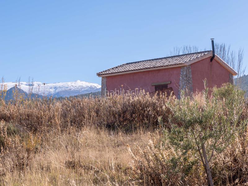 Foto 67f505f2-e8b6-44a9-9b5a-8d17eb50f7f6. Finca rústica en avenida emilio muñoz 56 venta de cortijo en dilar en Dílar