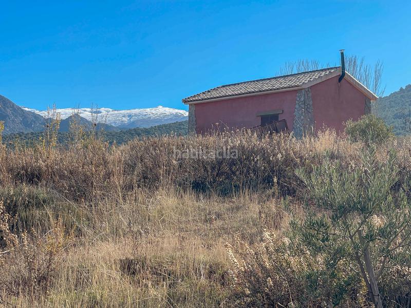 Foto 7fb79bc4-ffc4-4381-a972-02c6904a8ac8. Finca rústica en avenida emilio muñoz 56 venta de cortijo en dilar en Dílar