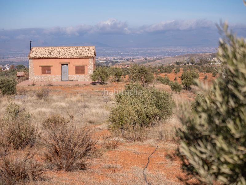 Foto 9b99704c-5c6e-4357-af36-358dbd5de87f. Finca rústica en avenida emilio muñoz 56 venta de cortijo en dilar en Dílar