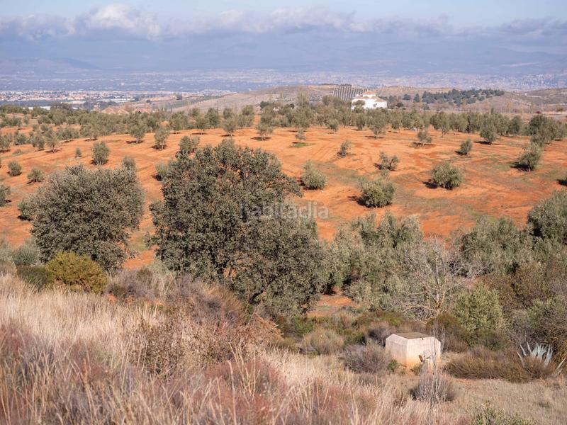 Foto 9f1cf5be-4bb4-49f1-a033-320b153d5f4b. Finca rústica en avenida emilio muñoz 56 venta de cortijo en dilar en Dílar