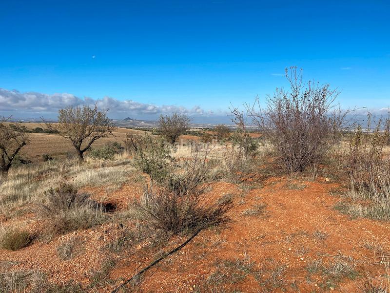 Foto aafd3c1e-0887-46ff-b1fd-7af5e732f972. Finca rústica en avenida emilio muñoz 56 venta de cortijo en dilar en Dílar