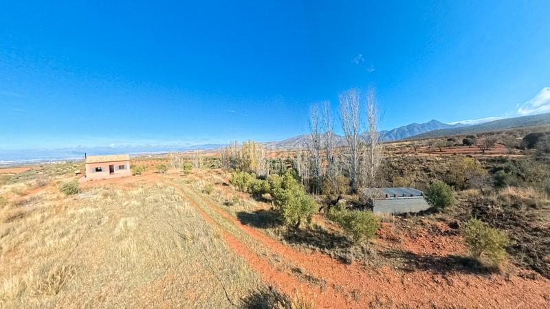 Foto bbd9a4ea-0197-4bbe-af7f-d585c8ed5d4c. Finca rústica en avenida emilio muñoz 56 venta de cortijo en dilar en Dílar