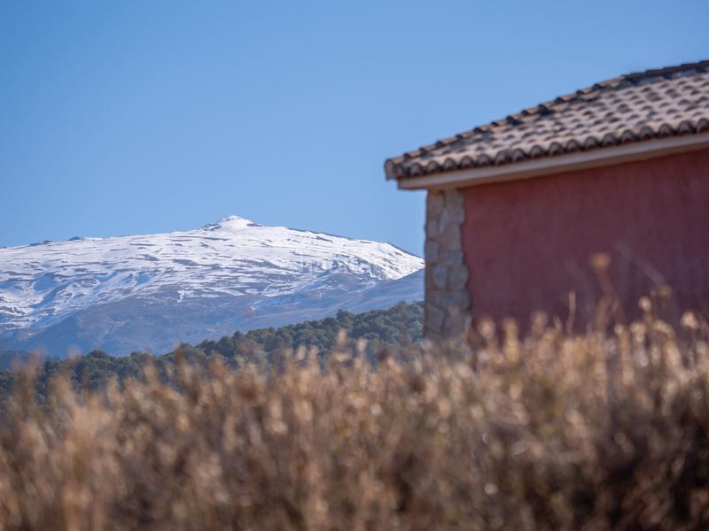 Foto c388e22b-18c3-4de6-8364-e458a9bb8a5a. Finca rústica en avenida emilio muñoz 56 venta de cortijo en dilar en Dílar