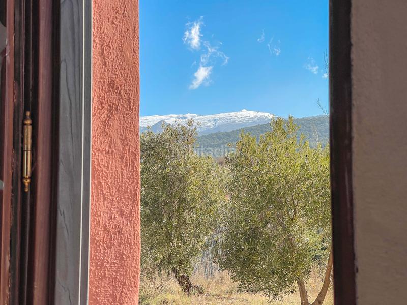 Foto cd8ab7f3-2f60-496c-b98e-a532b846d59e. Finca rústica en avenida emilio muñoz 56 venta de cortijo en dilar en Dílar