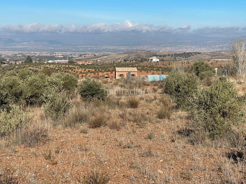 Foto e09e8231-7100-44d2-a77f-1c4c368247b0. Finca rústica en avenida emilio muñoz 56 venta de cortijo en dilar en Dílar