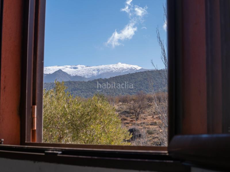 Foto ea7a0605-f557-46e1-8335-b07eab0beb1f. Finca rústica en avenida emilio muñoz 56 venta de cortijo en dilar en Dílar