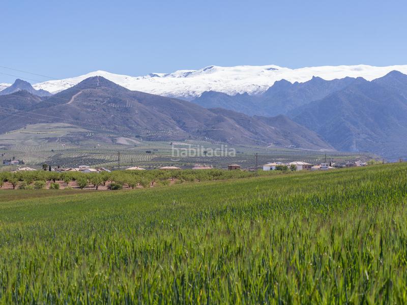Foto c9295e21-8ff1-4686-9faf-f3e13ad0d2f6. Terreno residencial en calle ribera 8 terreno en venta en calle ribera 8, en Otura