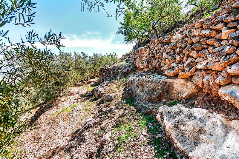 Foto 1bdd57f0-97f1-41f3-a12e-7829e3ae856a. Finca rústica a n/a a Pinar (El)