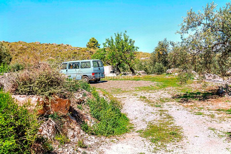 Foto 78b3c90f-2f5c-4f08-b9a0-7571dfa06446. Finca rústica a n/a a Pinar (El)