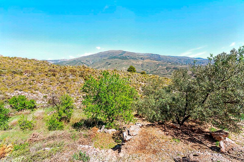 Foto 9e28d016-12a8-486d-be15-4aca3f39548b. Finca rústica a n/a a Pinar (El)
