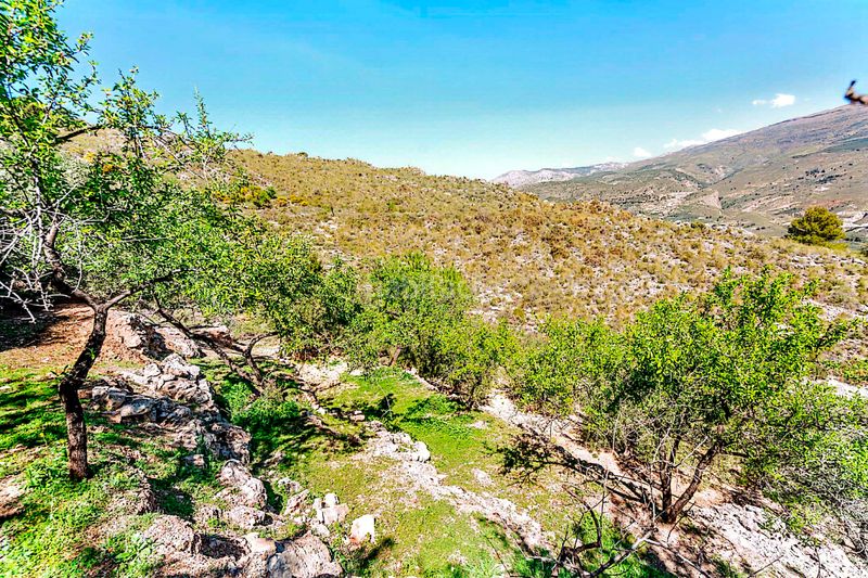 Foto bf907287-3b21-4696-ae67-f4fbba56b483. Finca rústica a n/a a Pinar (El)
