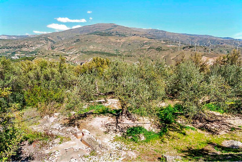 Foto 1cb9b971-5c4f-484d-b828-5307c5398220. Finca rústica a n/a a Pinar (El)