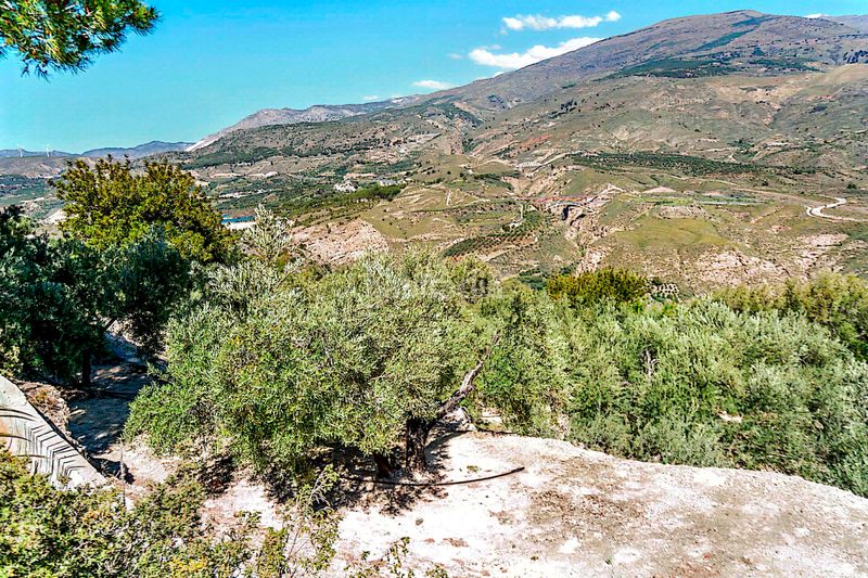 Foto 5313ce87-fa25-4b2f-9242-cd9a0fd9a479. Finca rústica a n/a a Pinar (El)