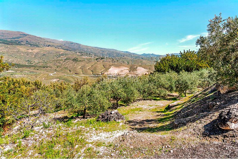 Foto da543d1c-ad41-4b05-a3b7-ca4c04887808. Finca rústica a n/a a Pinar (El)